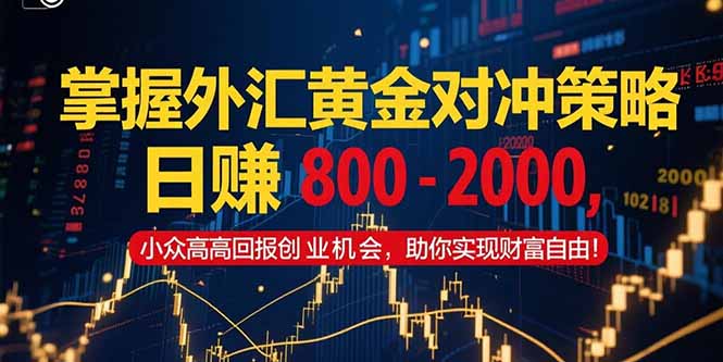 掌握外汇黄金对冲策略，日赚 800 – 2000，小众高回报创业机会，助你实…-彼飞网创