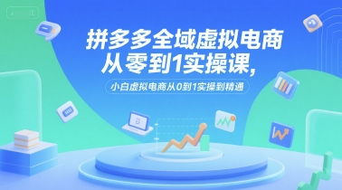 拼多多全域虚拟电商从零到1实操课，小白虚拟电商从0到1实操到精通-彼飞网创