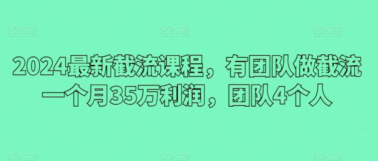 2024最新截流课程，有团队做截流一个月35万利润，团队4个人-彼飞网创
