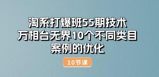 淘系打爆班55期技术：万相台无界10个不同类目案例的优化(10节)-彼飞网创