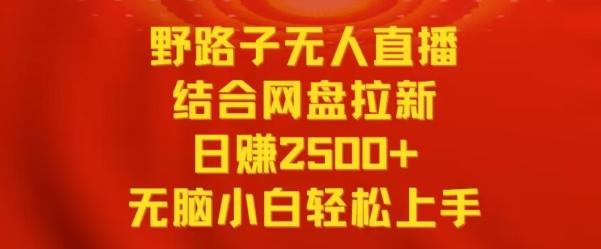 野路子无人直播结合网盘拉新，日赚2500+，小白无脑轻松上手【揭秘】-彼飞网创