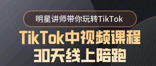 TikTok中视频课程30天线上陪跑，明星讲师带你玩转TikTok-彼飞网创