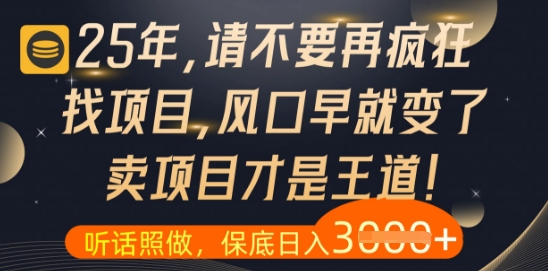 什么？25年你还在疯狂找项目做，醒醒吧，看完这些你全都懂了【揭秘】-彼飞网创