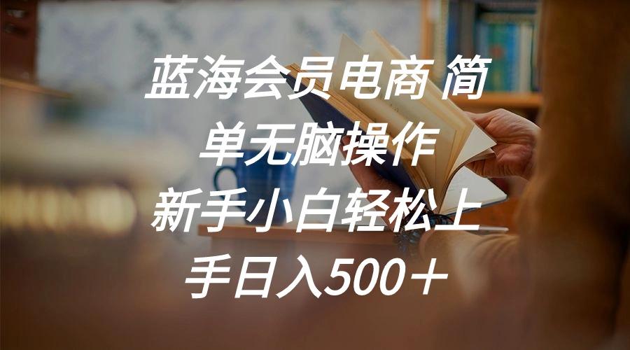 蓝海会员电商 简单无脑操作 新手小白轻松上手日入500＋-彼飞网创