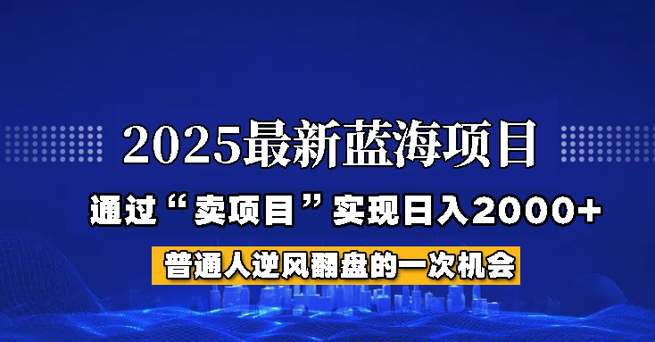 2025年蓝海项目，如何通过“网创项目”日入2000+-彼飞网创