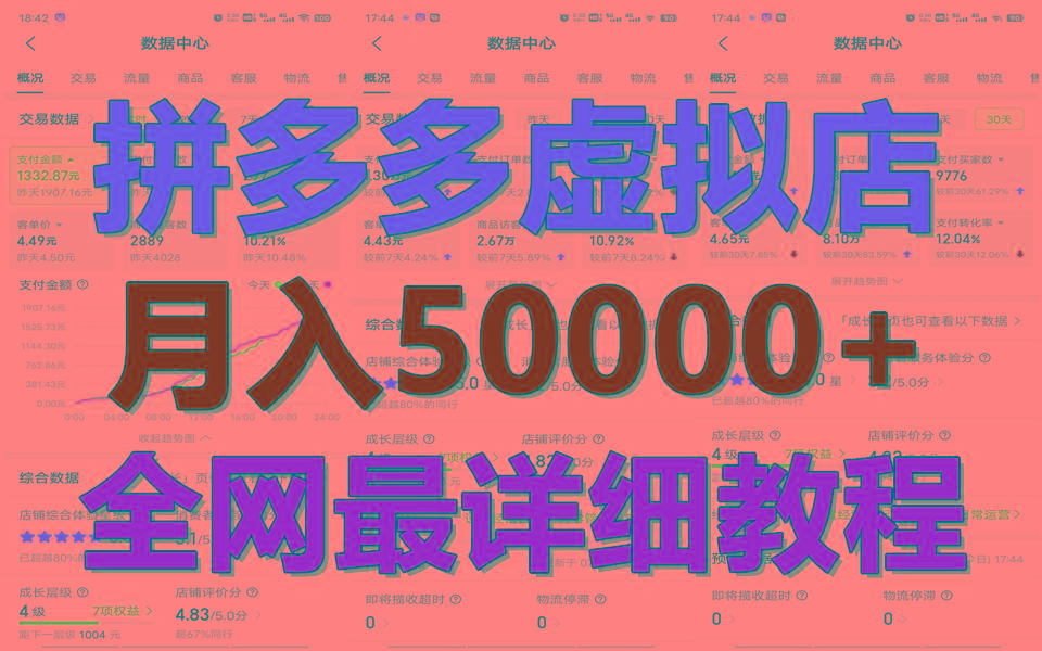 拼多多虚拟电商训练营月入50000+你也行，暴利稳定长久，副业首选-彼飞网创