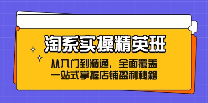 淘系实操精英班：从入门到精通，全面覆盖，一站式掌握店铺盈利秘籍-彼飞网创