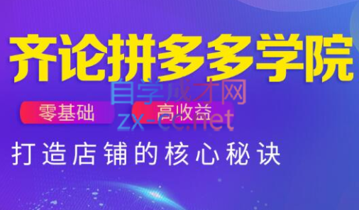 齐论拼多多vip课程-彼飞网创