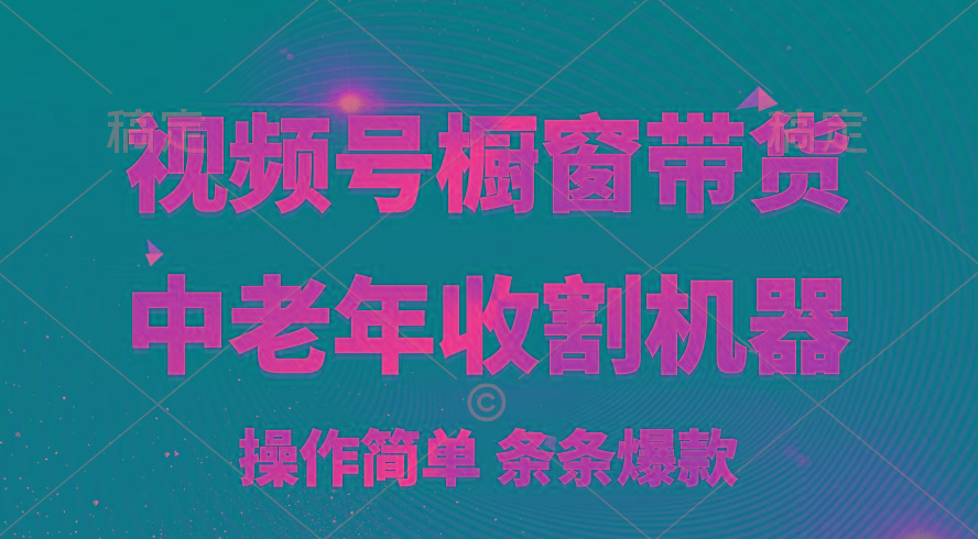 [你的孩子成功取得高位]视频号最火爆赛道，橱窗带货，流量分成计划，条…-彼飞网创