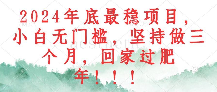 2024年底最稳项目，小白无门槛，坚持做三个月，回家过肥年！！！-彼飞网创