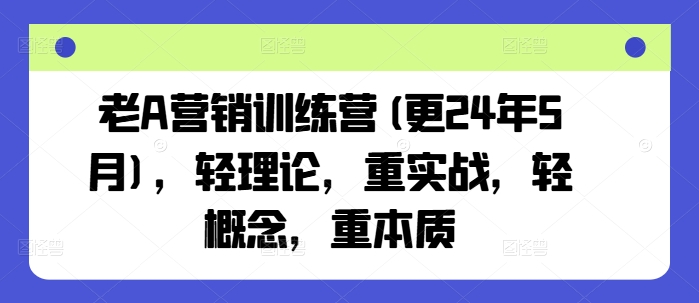 老A营销训练营(更24年11月)，轻理论，重实战，轻概念，重本质-彼飞网创