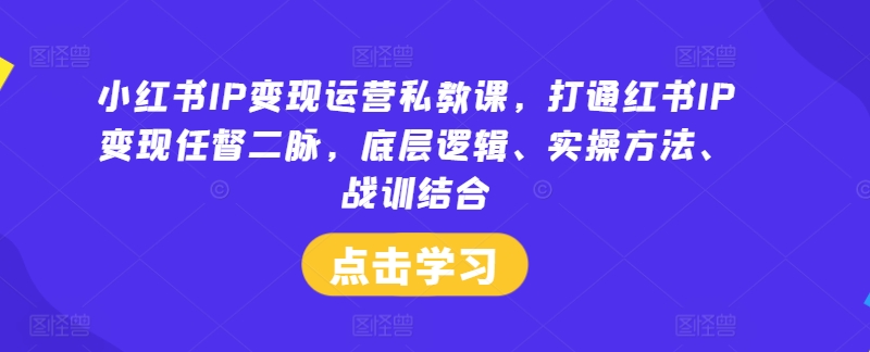 小红书IP变现运营私教课，打通红书IP变现任督二脉，底层逻辑、实操方法、战训结合-彼飞网创