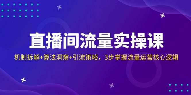 直播间流量实操课：机制拆解+算法洞察+引流策略，3步掌握流量运营核心逻辑-彼飞网创