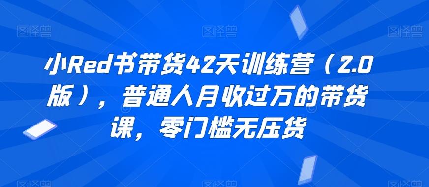 小Red书带货42天训练营(2.0版)，普通人月收过万的带货课，零门槛无压货-彼飞网创