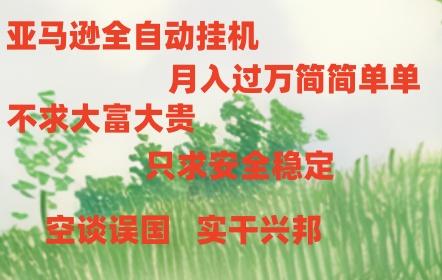 亚马逊全自动浏览挂机，，收益稳定且前景广阔-彼飞网创
