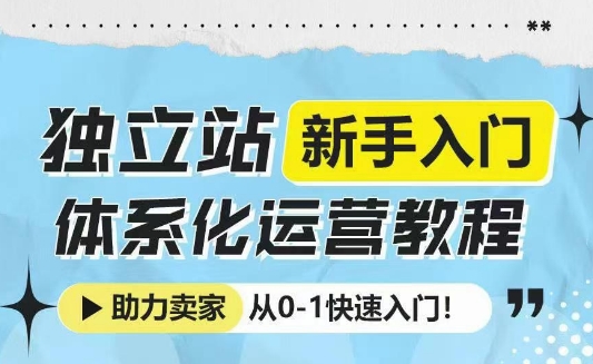 独立站新手入门体系化运营教程，助力独立站卖家从0-1快速入门!-彼飞网创