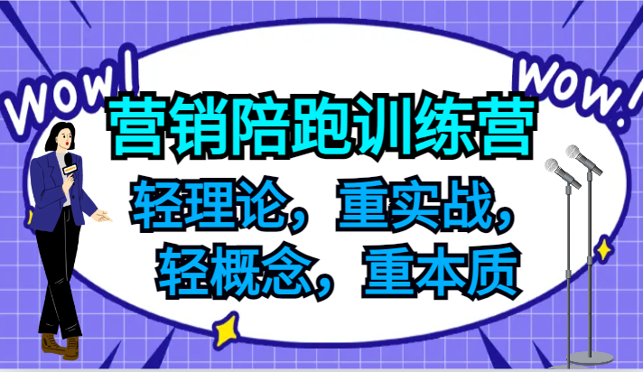 营销陪跑训练营，轻理论，重实战，轻概念，重本质，适合中小企业和初创企业的老板-彼飞网创