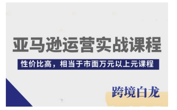 亚马逊运营实战课程，亚马逊从入门到精通，性价比高，相当于市面万元以上元课程-彼飞网创