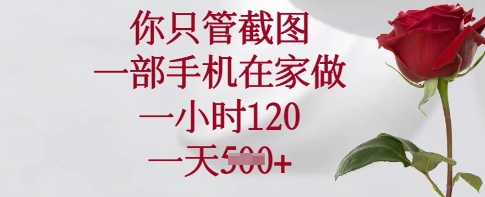 你只管截图，一部手机在家做，一小时120.一天5张【揭秘】-彼飞网创