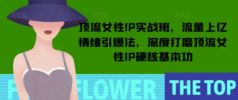 顶流女性IP实战班，流量上亿情绪引爆法，深度打磨顶流女性IP硬核基本功-彼飞网创