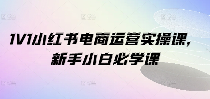 1V1小红书电商运营实操课，新手小白必学课-彼飞网创