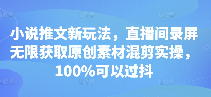 小说推文新玩法，直播间录屏无限获取原创素材混剪实操，100%可以过抖-彼飞网创