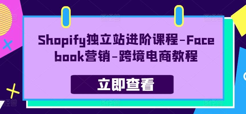 Shopify独立站进阶课程-Facebook营销-跨境电商教程-彼飞网创