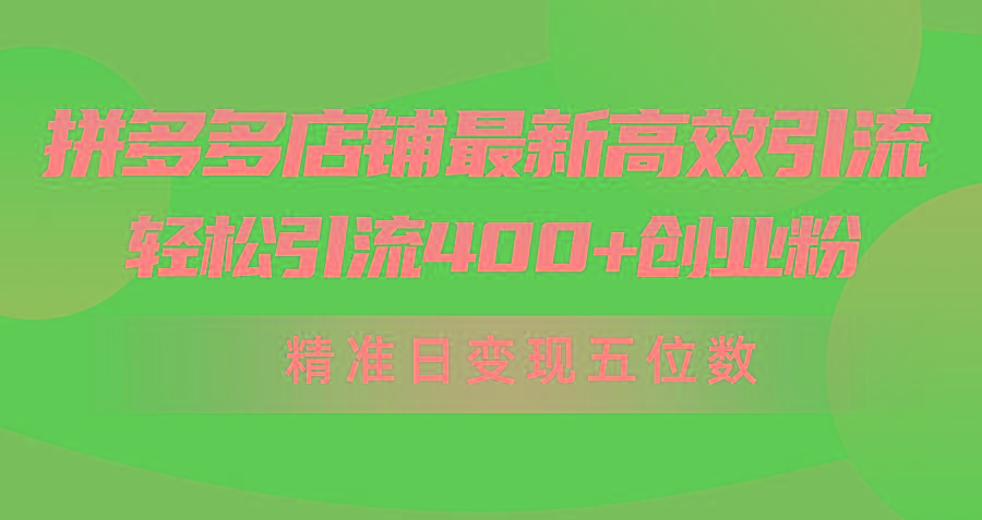 (10041期)拼多多店铺最新高效引流术，轻松引流400+创业粉，精准日变现五位数！-彼飞网创