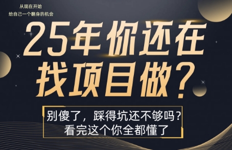25年，你还在疯狂的找项目吗？别傻了，看完这个你都懂了【揭秘】-彼飞网创