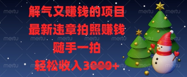 解气又挣钱的项目，最新违章拍照挣钱，随手一拍，轻松收入数张【揭秘】-彼飞网创