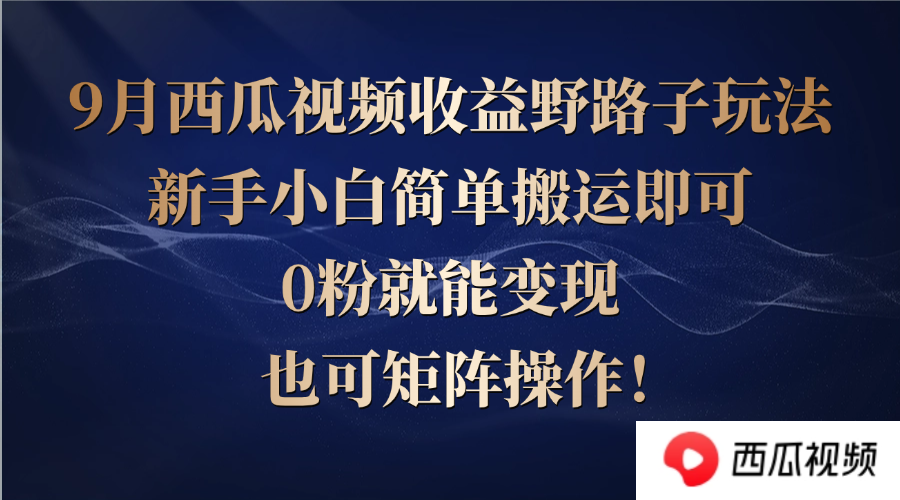 西瓜视频收益野路子玩法，新手小白简单搬运即可，0粉就能变现，也可矩…-彼飞网创