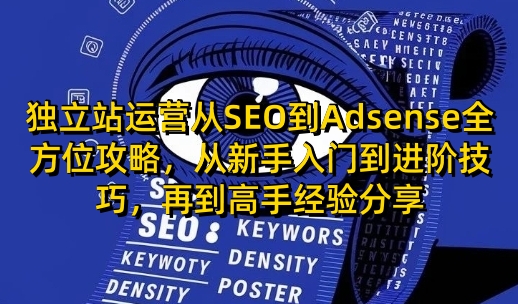 独立站运营从SEO到Adsense全方位攻略，从新手入门到进阶技巧，再到高手经验分享-彼飞网创