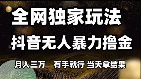 全网独家玩法抖音无人暴力撸金，月入3W，有手就行，当天拿结果【揭秘】-彼飞网创
