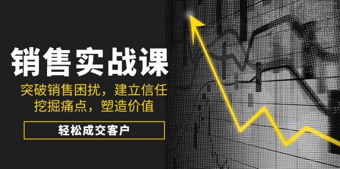 销售实战课，突破销售困扰，建立信任，挖掘痛点，塑造价值，轻松成交客户-彼飞网创