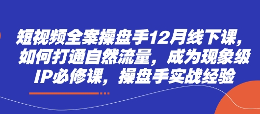 短视频全案操盘手12月线下课，如何打通自然流量，成为现象级IP必修课，操盘手实战经验-彼飞网创