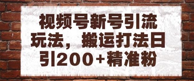 视频号新号引流玩法，搬运打法日引200+精准粉，可矩阵放大【揭秘】-彼飞网创
