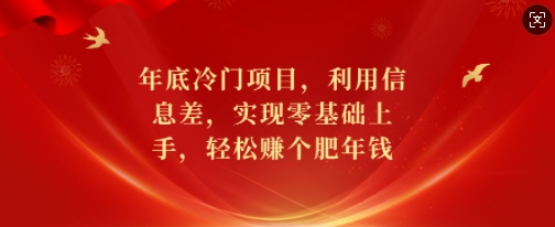 年底冷门项目，利用信息差，实现零基础上手，轻松赚个肥年钱【揭秘】-彼飞网创
