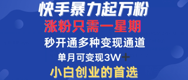 快手暴力起万粉，涨粉只需一星期，多种变现模式，直接秒开万合，单月变现过W【揭秘】-彼飞网创