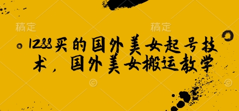 1288买的国外美女起号技术，国外美女搬运教学-彼飞网创