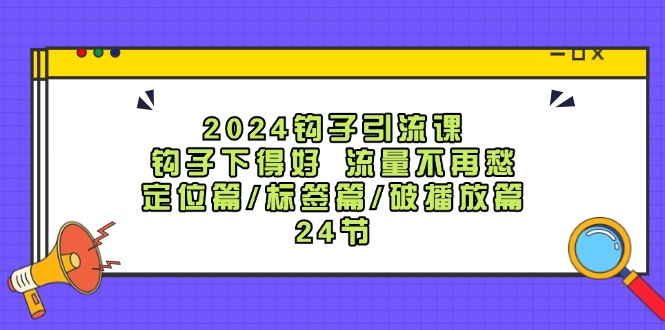2024钩子引流课：钩子下得好流量不再愁，定位篇/标签篇/破播放篇/24节-彼飞网创