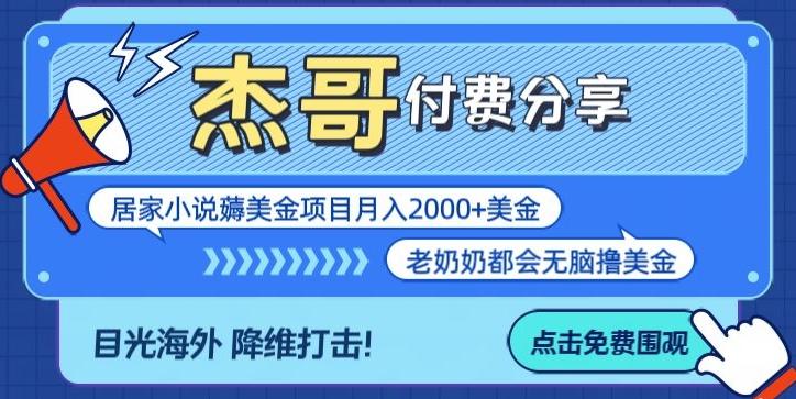 拆解海外撸美金项目月入2000美刀详细指导-彼飞网创