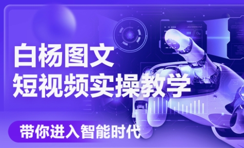 白杨老师·Ai图文短视频实操课(更新6月)-彼飞网创