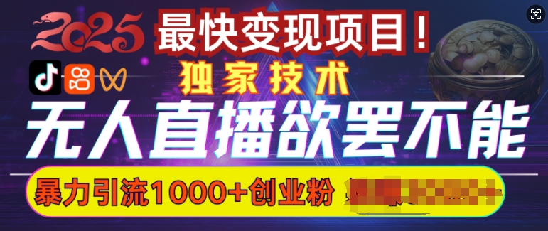 欲罢不能的无人直播引流，超暴力日引流1000+高质量精准创业粉-彼飞网创