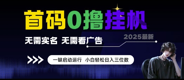 首码0撸挂G项目，无需实名无需看广告 一键启动运行，小白轻松日入三位数【揭秘】-彼飞网创