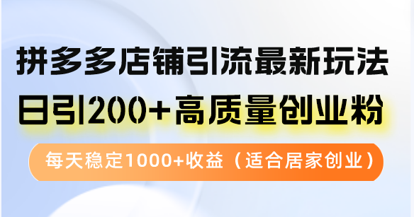 拼多多店铺引流最新玩法，日引200+高质量创业粉，每天稳定1000+收益(…-彼飞网创