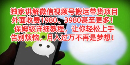 独家讲解微信视频号搬运带货项目，保姆级详细教程-彼飞网创