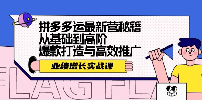 拼多多运最新营秘籍：业绩 增长实战课，从基础到高阶，爆款打造与高效推广-彼飞网创