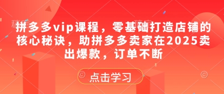 拼多多vip课程，零基础打造店铺的核心秘诀，助拼多多卖家在2025卖出爆款，订单不断-彼飞网创