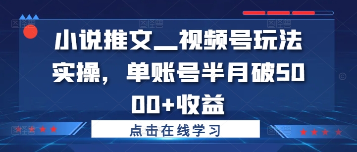 小说推文—视频号玩法实操，单账号半月破5000+收益-彼飞网创