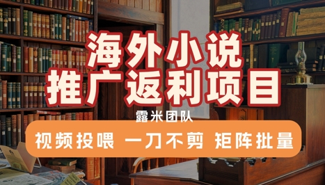 海外小说推广返利项目，视频投喂， 一刀不剪，矩阵批量-彼飞网创
